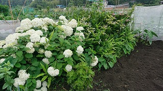 梅雨らしい梅雨ですね　社員Blog